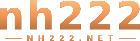nh222 logo